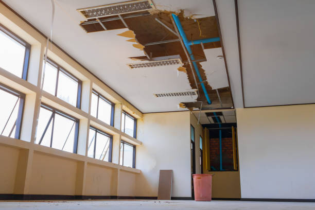 Best Basement water damage restoration  in Royal Oak, MI