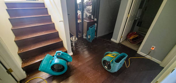 Best Ceiling water damage repair  in Royal Oak, MI
