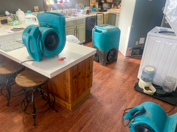 Best Residential water damage restoration  in Royal Oak, MI