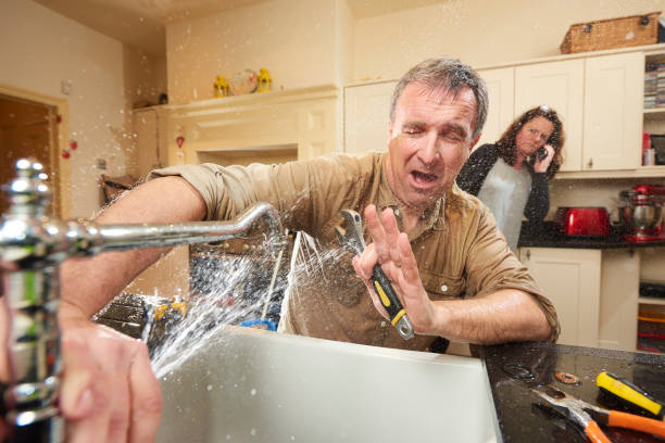 Best Sewage cleanup and water damage restoration  in Royal Oak, MI
